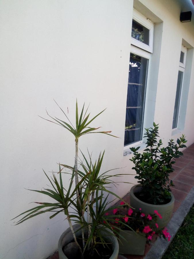 Apartamento El Zohar 2 Pax Federación Exterior foto